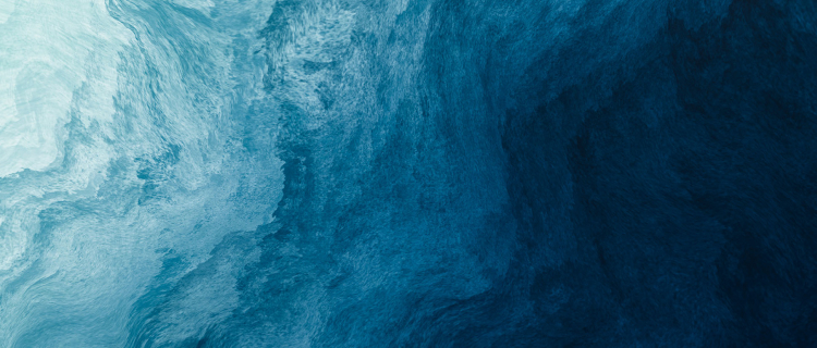 DEEPAL Background