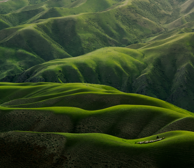 GOING GREEN
